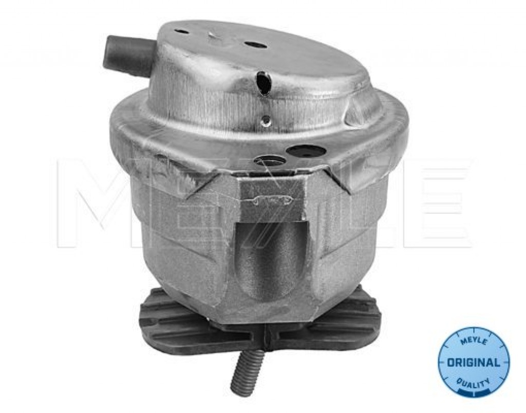 Engine Mounting  E60 E63